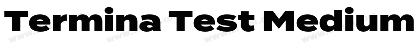 Termina Test Medium字体转换